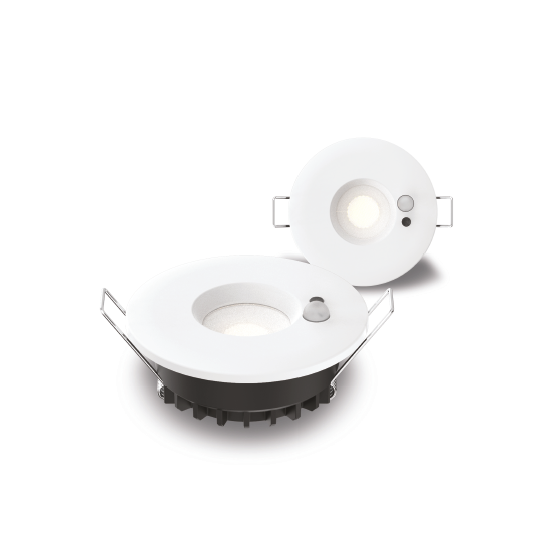 Downlight Horace